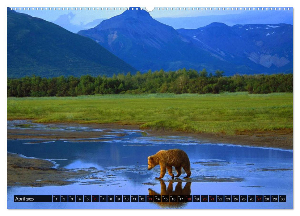 Alaska - Weites Land (CALVENDO Premium Wandkalender 2025)