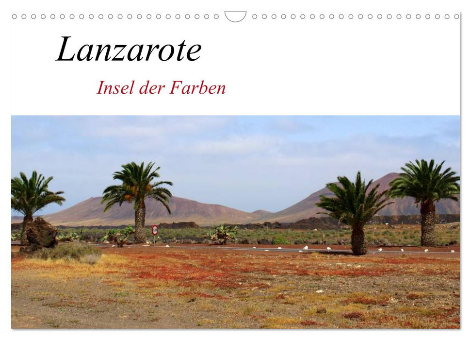 Lanzarote – Insel der Farben (CALVENDO Wandkalender 2025)