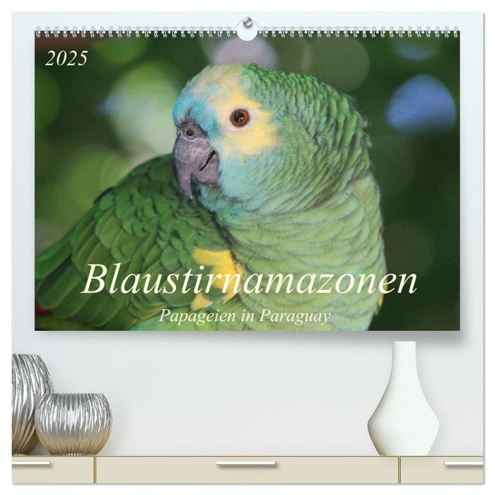 Blaustirnamazonen - Papageien in Paraguay (CALVENDO Premium Wandkalender 2025)