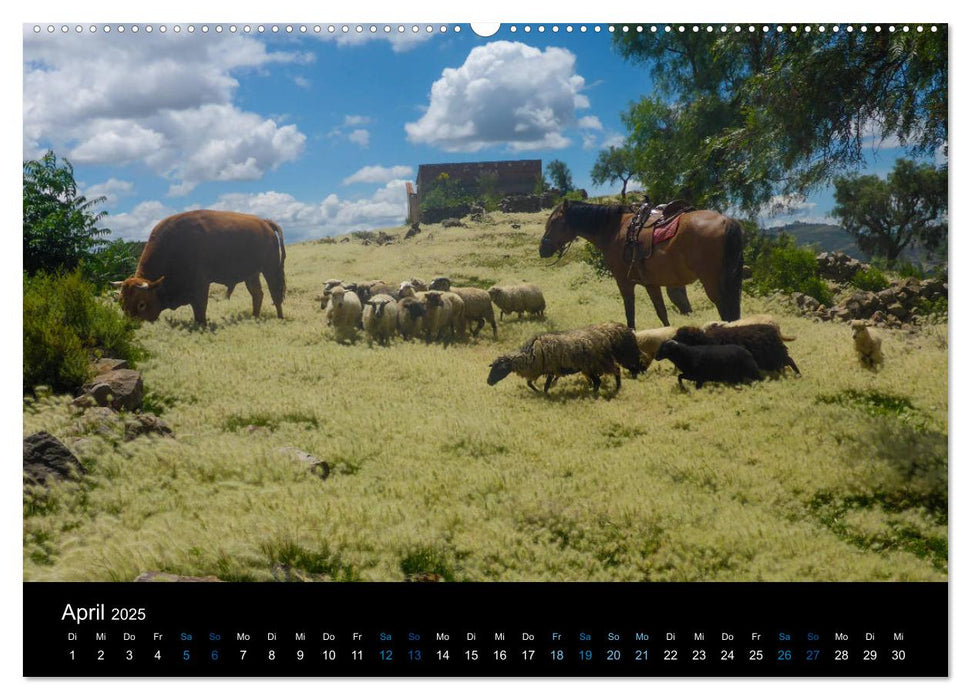 Landschaften Lateinamerika (CALVENDO Wandkalender 2025)