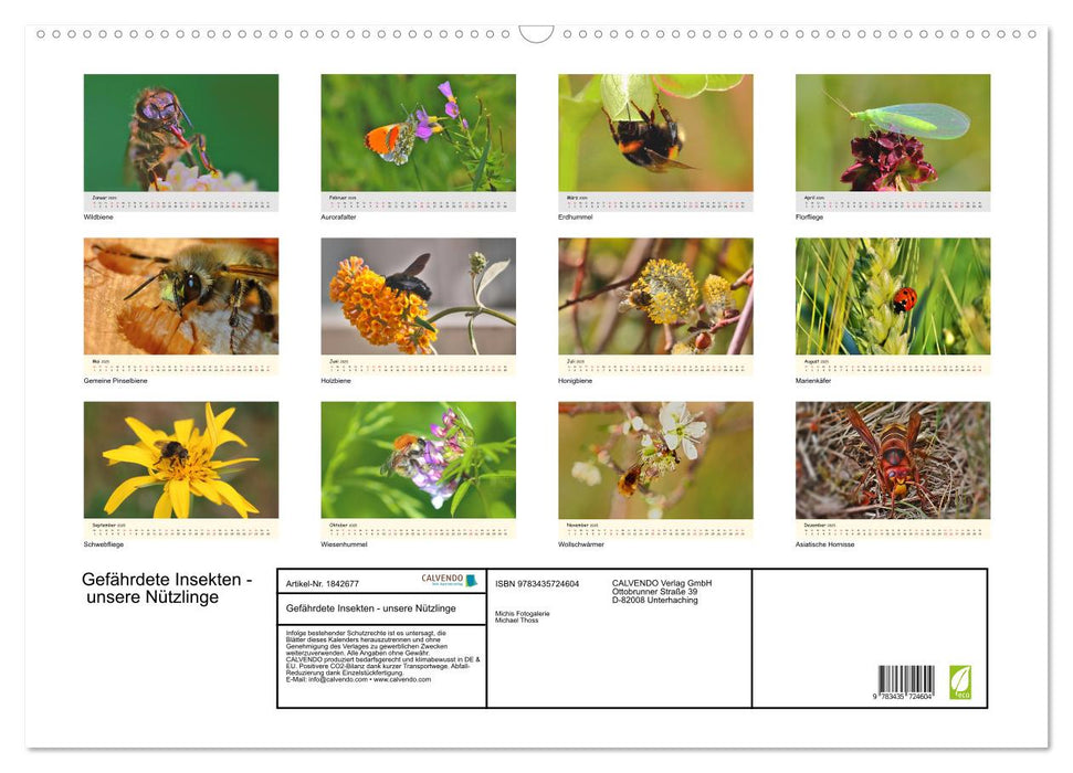 Gefährdete Insekten - unsere Nützlinge (CALVENDO Wandkalender 2025)