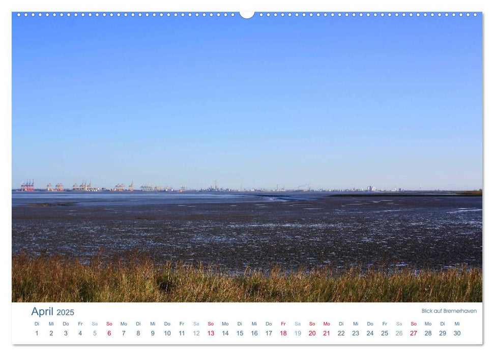 Ebbe und Watt 2025. Impressionen von der Nordseeküste (CALVENDO Wandkalender 2025)