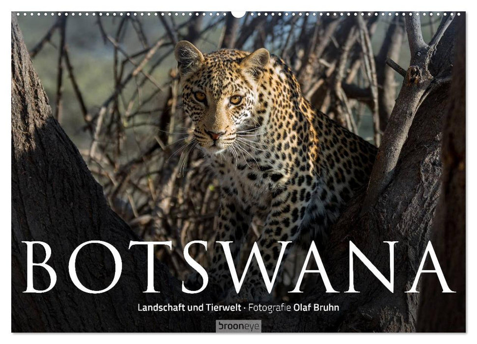 Botswana – Landschaft und Tierwelt (CALVENDO Wandkalender 2025)