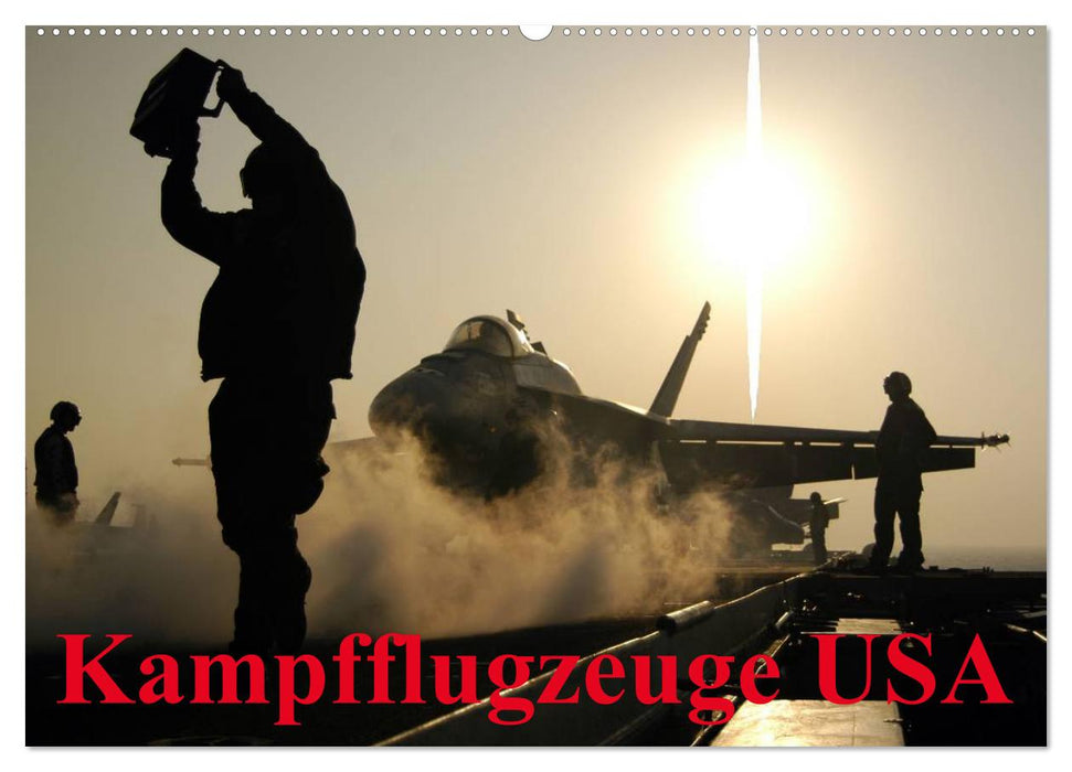 Kampfflugzeuge USA (CALVENDO Wandkalender 2025)