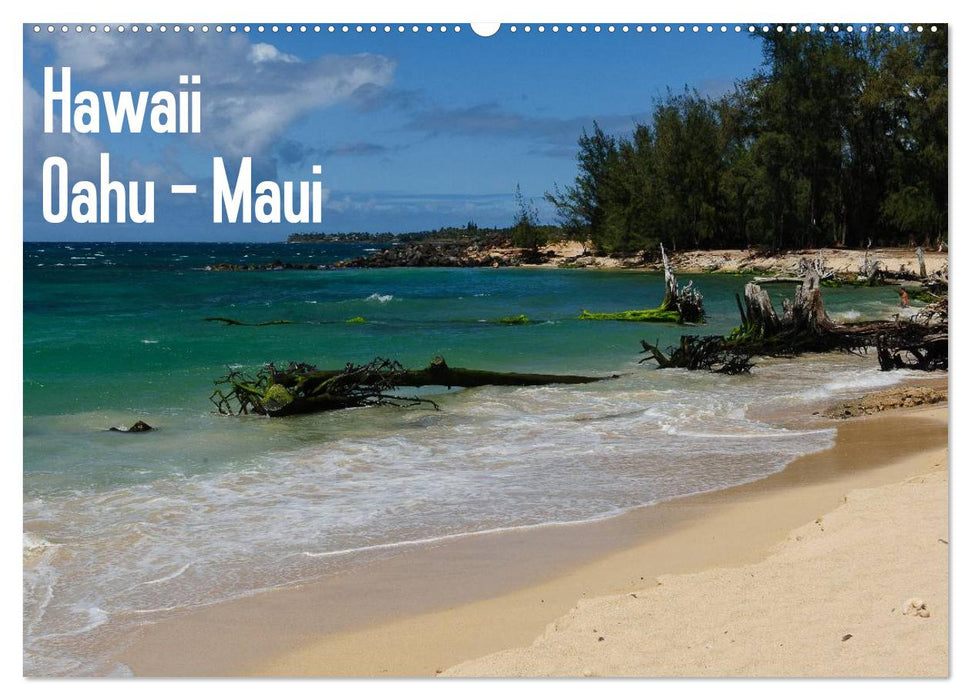 Hawaii - Oahu - Maui (CALVENDO Wandkalender 2025)