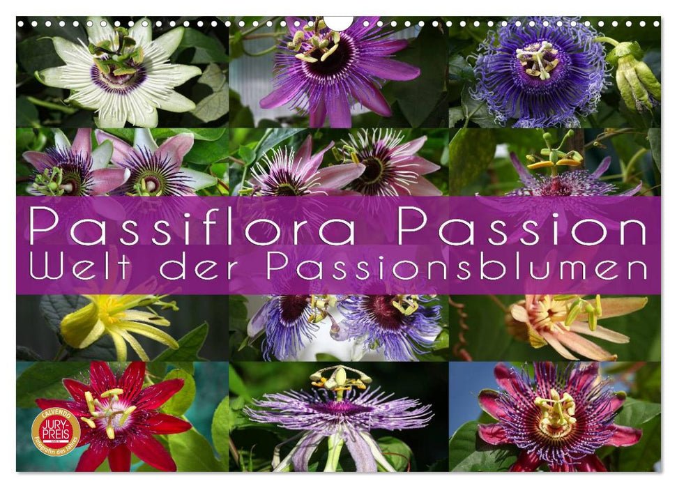 Passiflora Passion - Welt der Passionsblumen (CALVENDO Wandkalender 2025)