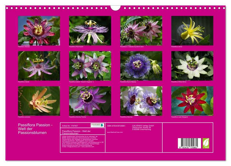 Passiflora Passion - Welt der Passionsblumen (CALVENDO Wandkalender 2025)