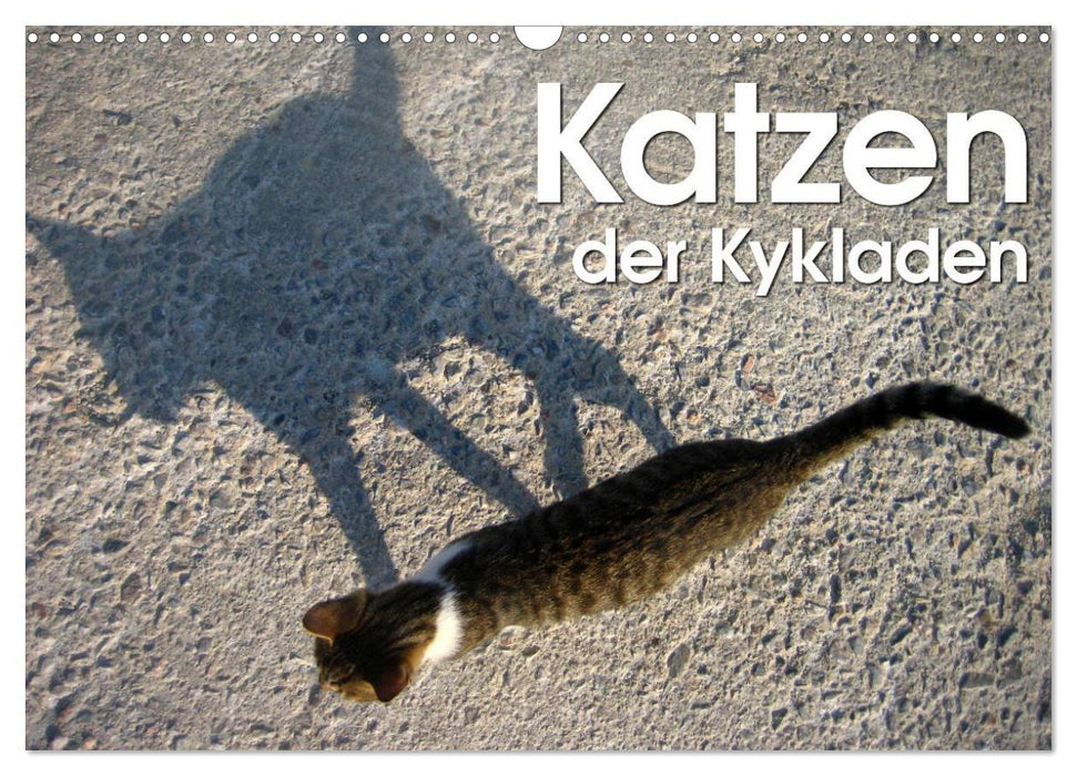 Katzen der Kykladen (CALVENDO Wandkalender 2025)