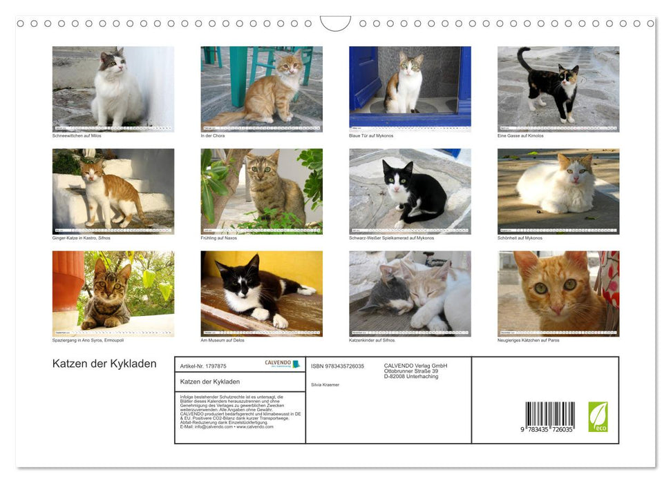 Katzen der Kykladen (CALVENDO Wandkalender 2025)