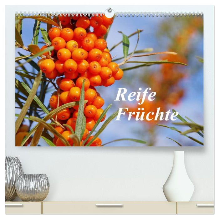 Reife Früchte (CALVENDO Premium Wandkalender 2025)