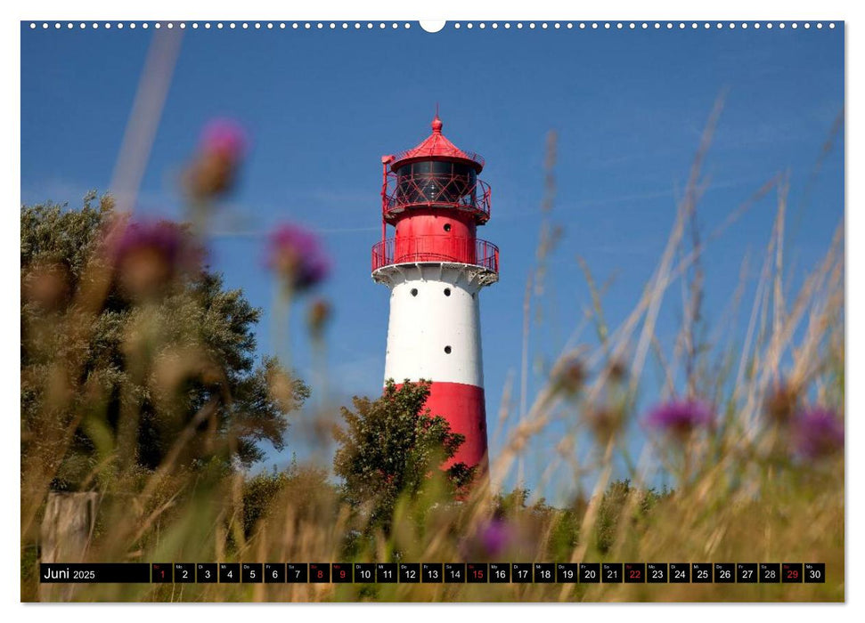 an der Ostsee (CALVENDO Premium Wandkalender 2025)