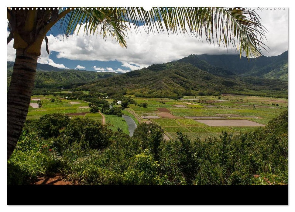 Hawaii - Kauai (CALVENDO Premium Wandkalender 2025)