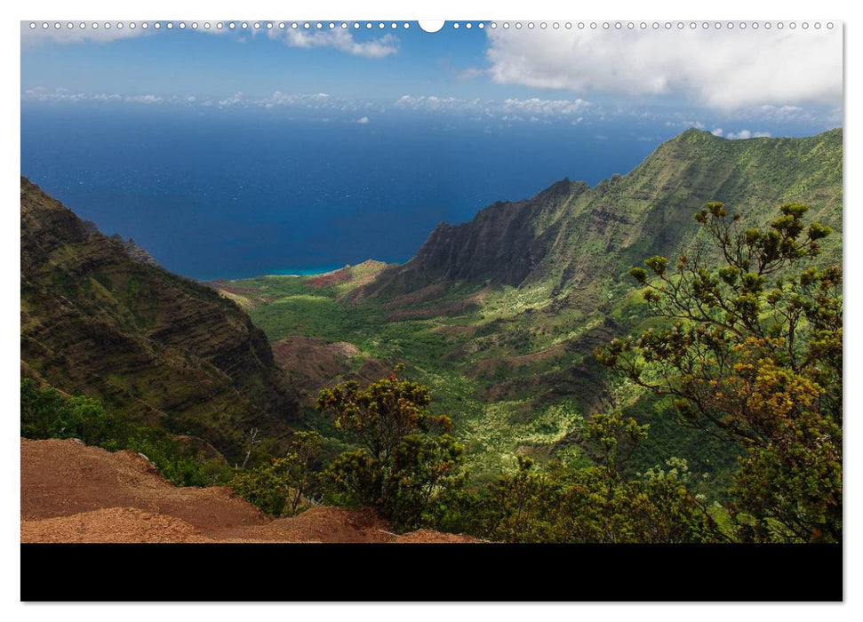 Hawaii - Kauai (CALVENDO Premium Wandkalender 2025)