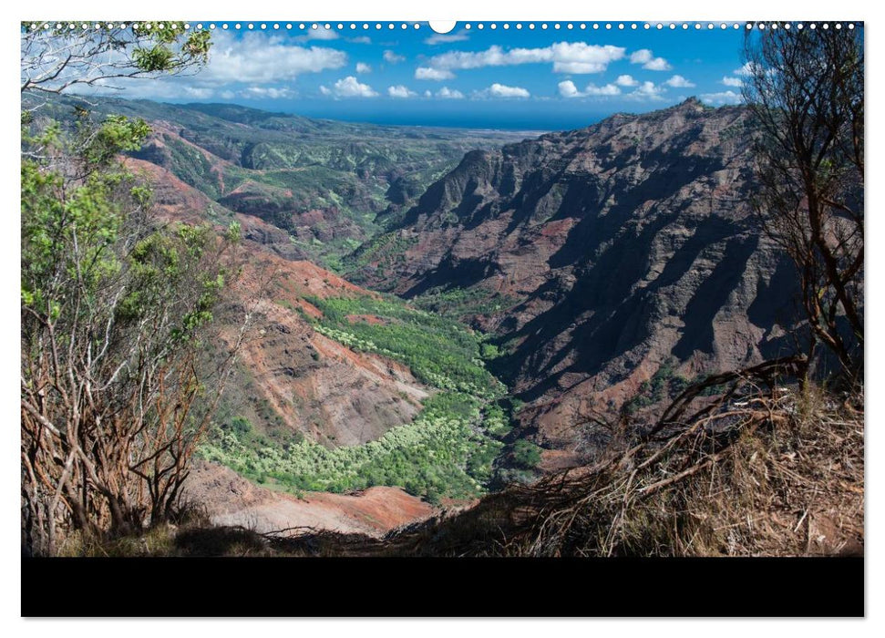 Hawaii - Kauai (CALVENDO Premium Wandkalender 2025)