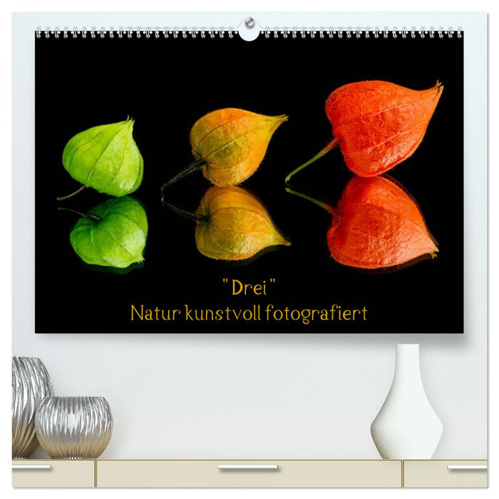 "Drei" Natur kunstvoll fotografiert (CALVENDO Premium Wandkalender 2025)