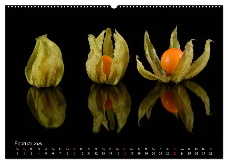 "Drei" Natur kunstvoll fotografiert (CALVENDO Premium Wandkalender 2025)