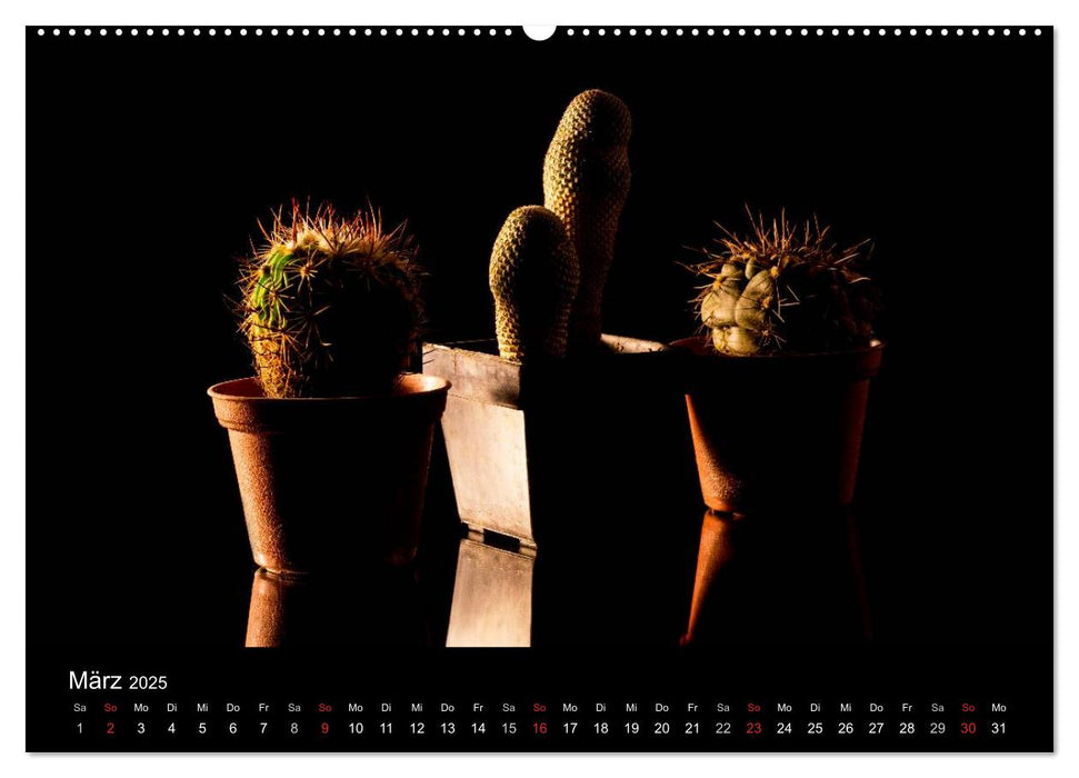 "Drei" Natur kunstvoll fotografiert (CALVENDO Premium Wandkalender 2025)