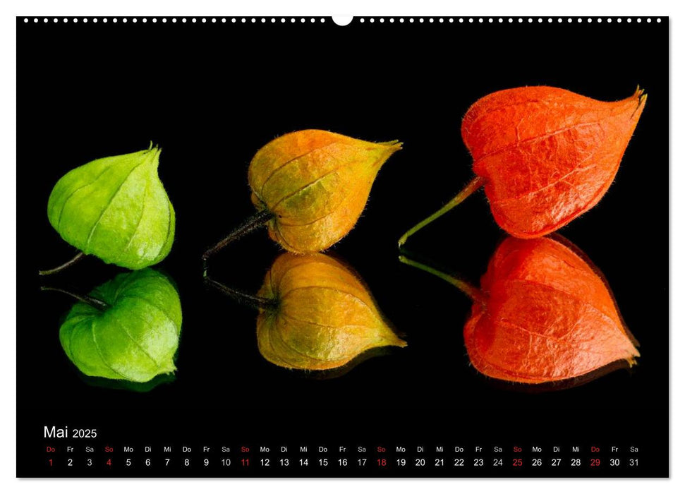 "Drei" Natur kunstvoll fotografiert (CALVENDO Premium Wandkalender 2025)