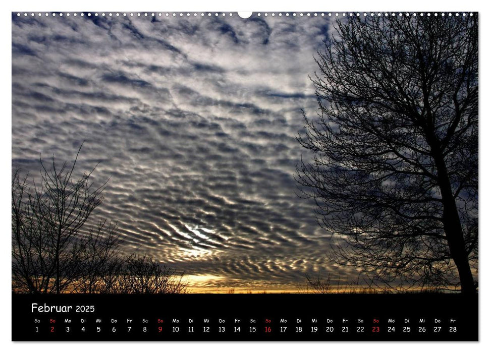 Ostfriesland - Land und Wetter (CALVENDO Premium Wandkalender 2025)