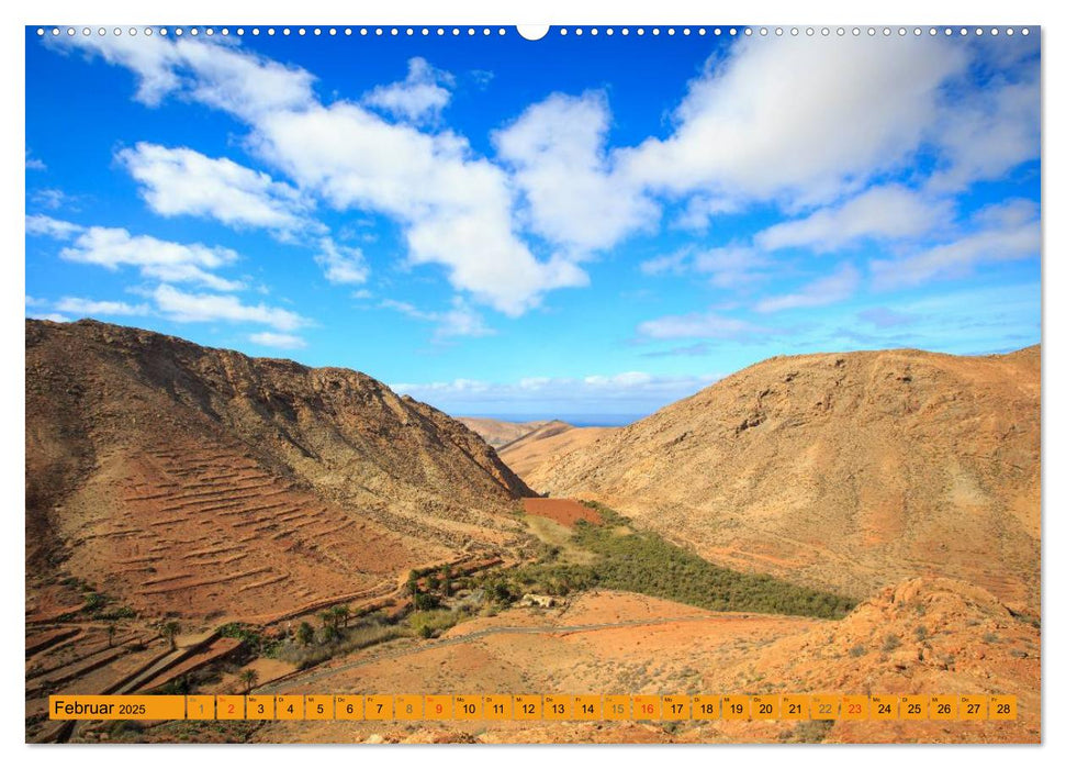 Fuerteventura (CALVENDO Premium Wandkalender 2025)