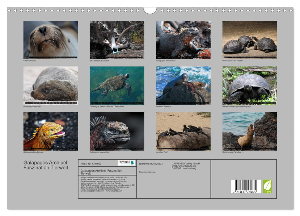 Galapagos Archipel- Faszination Tierwelt (CALVENDO Wandkalender 2025)