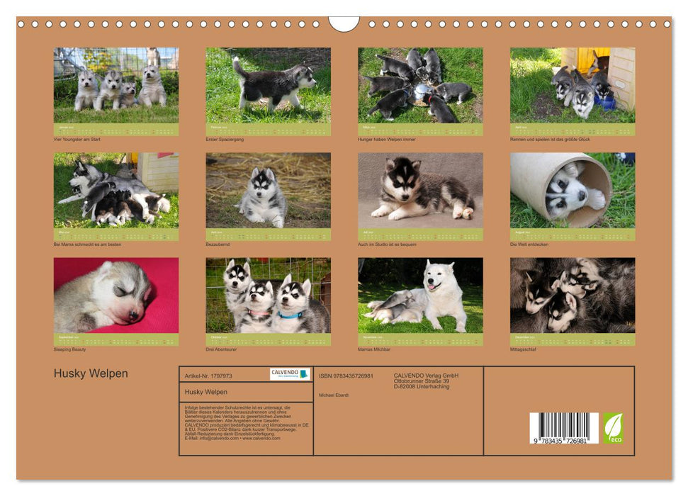 Husky Welpen (CALVENDO Wandkalender 2025)