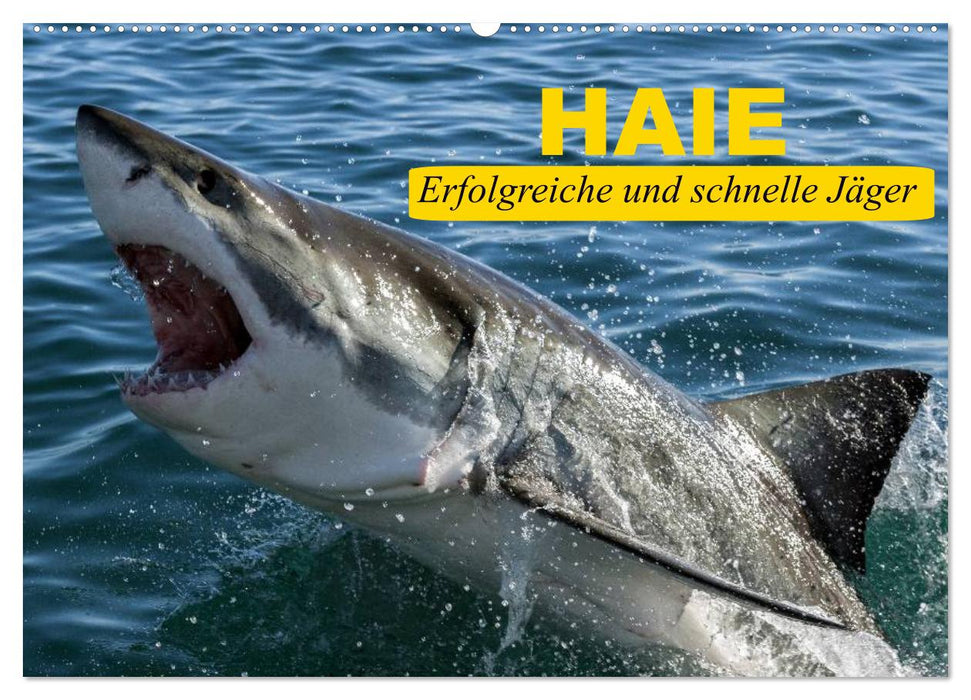 Haie. Erfolgreiche und schnelle Jäger (CALVENDO Wandkalender 2025)