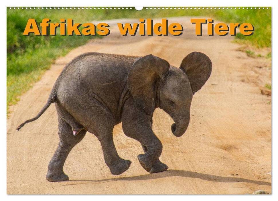 Afrikas wilde Tiere (CALVENDO Wandkalender 2025)