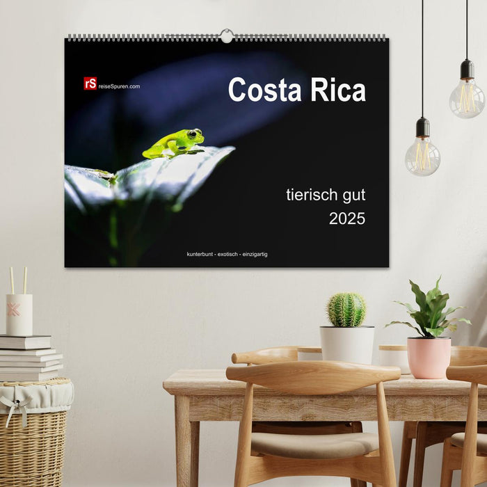 Costa Rica tierisch gut 2025 (CALVENDO Wandkalender 2025)