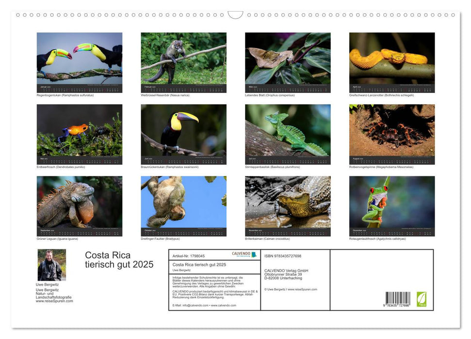 Costa Rica tierisch gut 2025 (CALVENDO Wandkalender 2025)