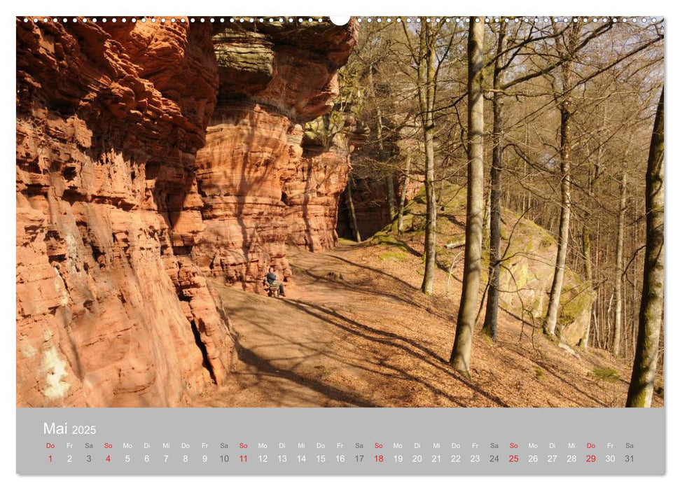 Felsen im Pfälzer Wald (CALVENDO Wandkalender 2025)