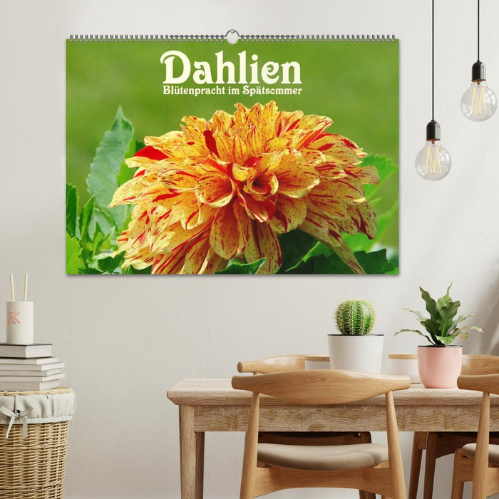 Dahlien - Blütenpracht im Spätsommer (CALVENDO Wandkalender 2025)