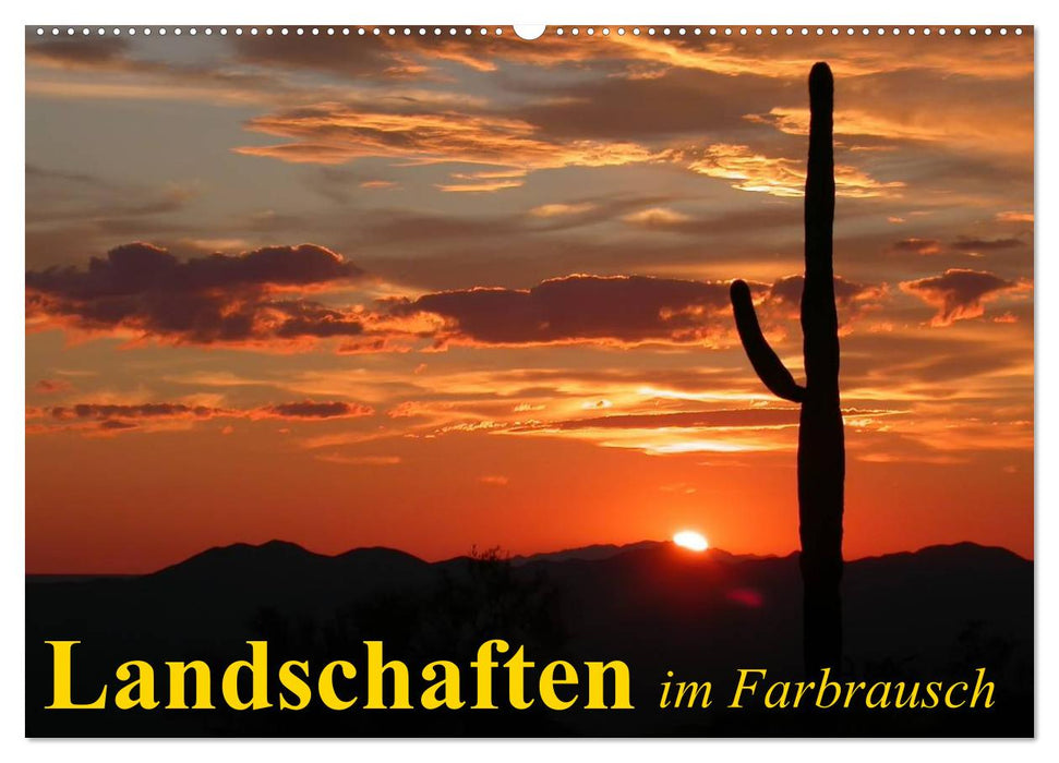 Landschaften im Farbrausch (CALVENDO Wandkalender 2025)