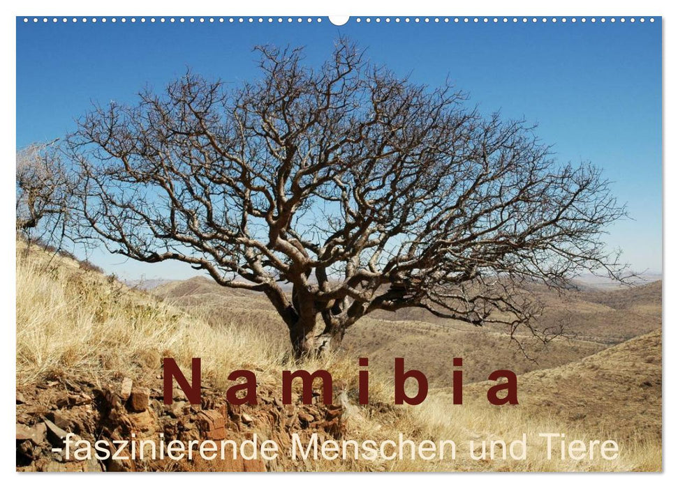 Namibia - faszinierende Menschen und Tiere (CALVENDO Wandkalender 2025)