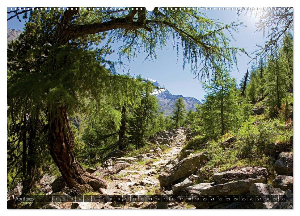 Alpen live - Rund um das Matterhorn (CALVENDO Wandkalender 2025)