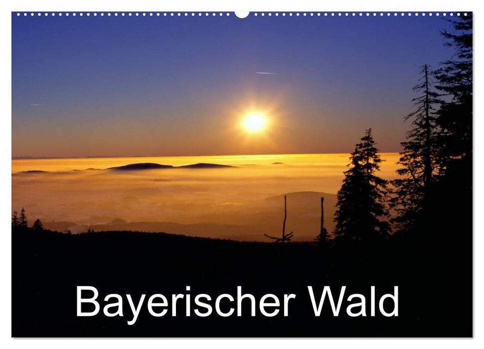 Bayerischer Wald (CALVENDO Wandkalender 2025)