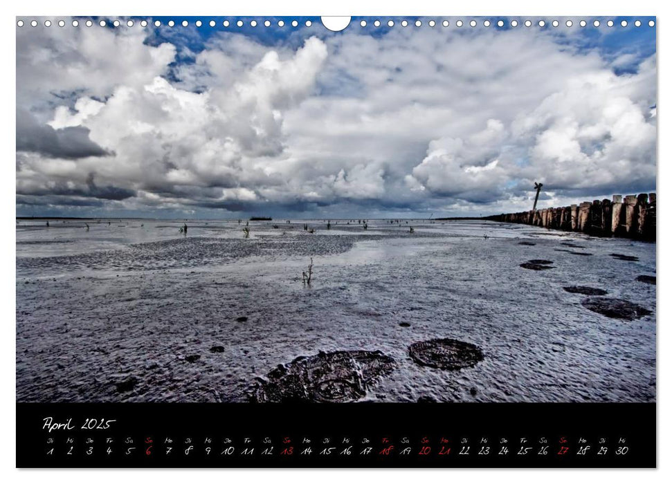 Friedrichskoog Buhnen und Salzwiesen (CALVENDO Wandkalender 2025)