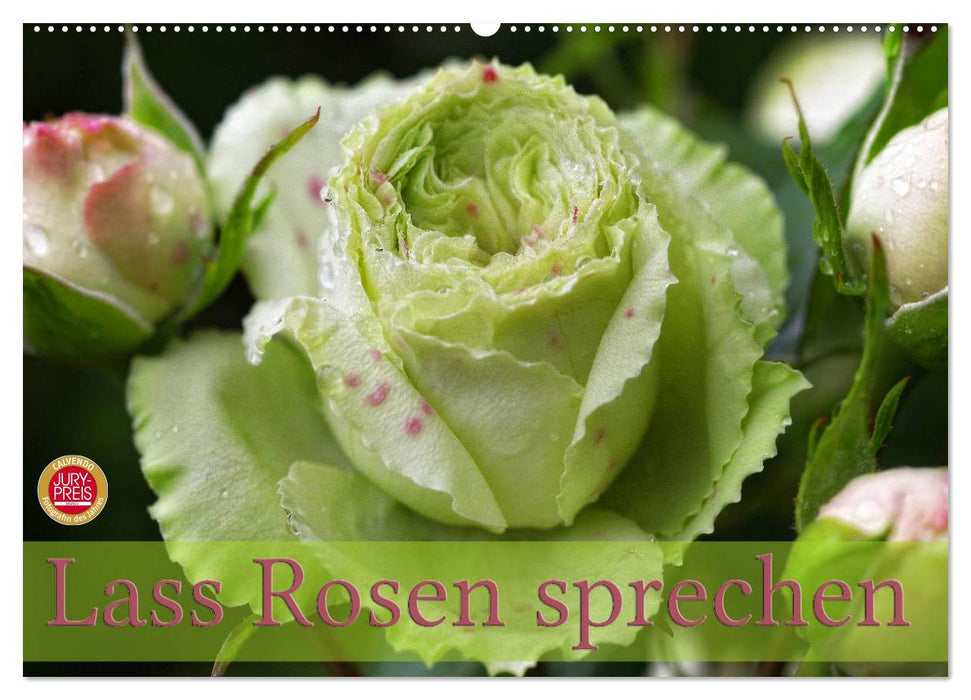 Lass Rosen sprechen (CALVENDO Wandkalender 2025)