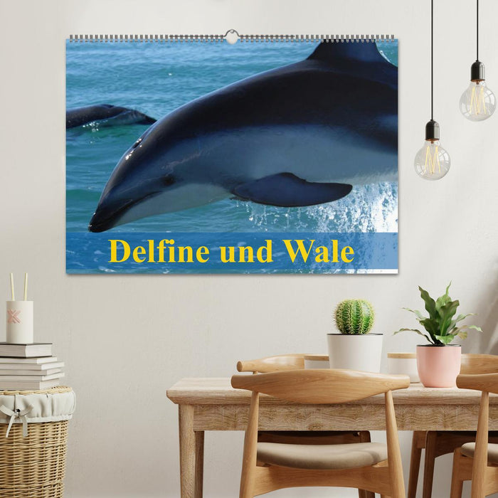 Delfine und Wale (CALVENDO Wandkalender 2025)