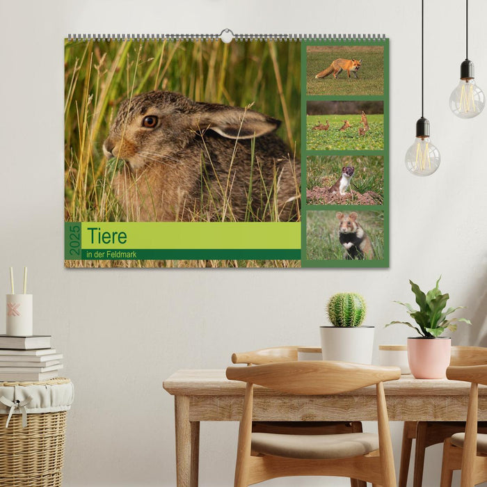 Tiere in der Feldmark (CALVENDO Wandkalender 2025)