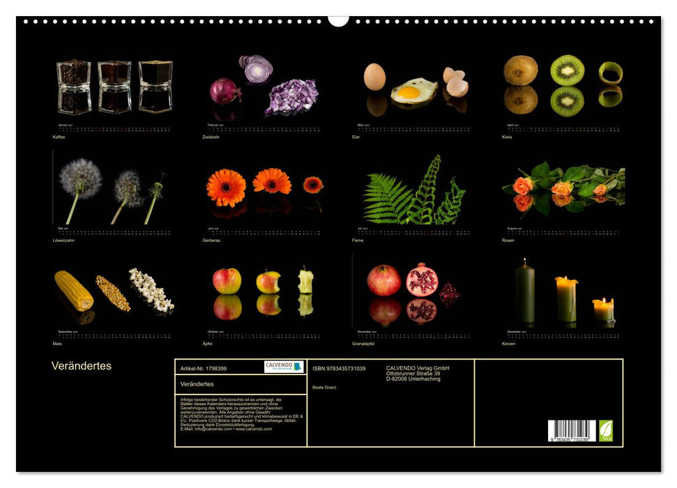 Verändertes (CALVENDO Wandkalender 2025)