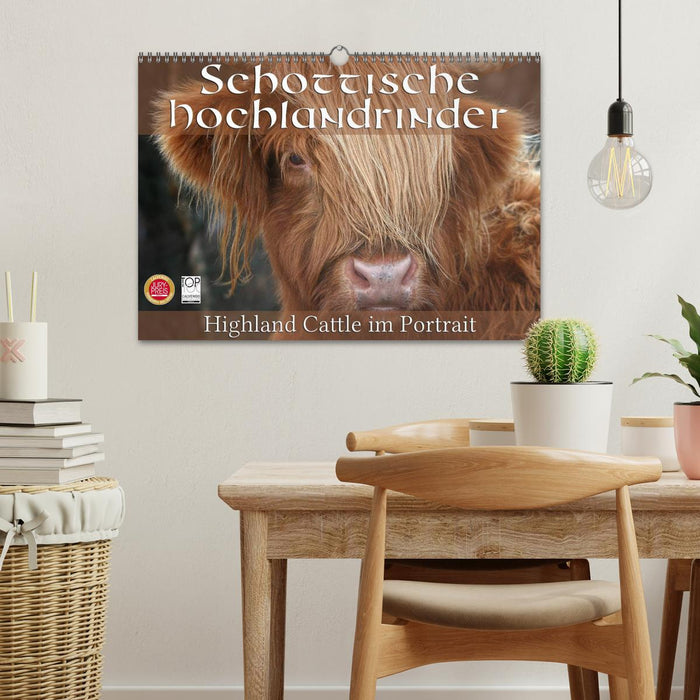 Schottische Hochlandrinder - Highland Cattle im Portrait (CALVENDO Wandkalender 2025)