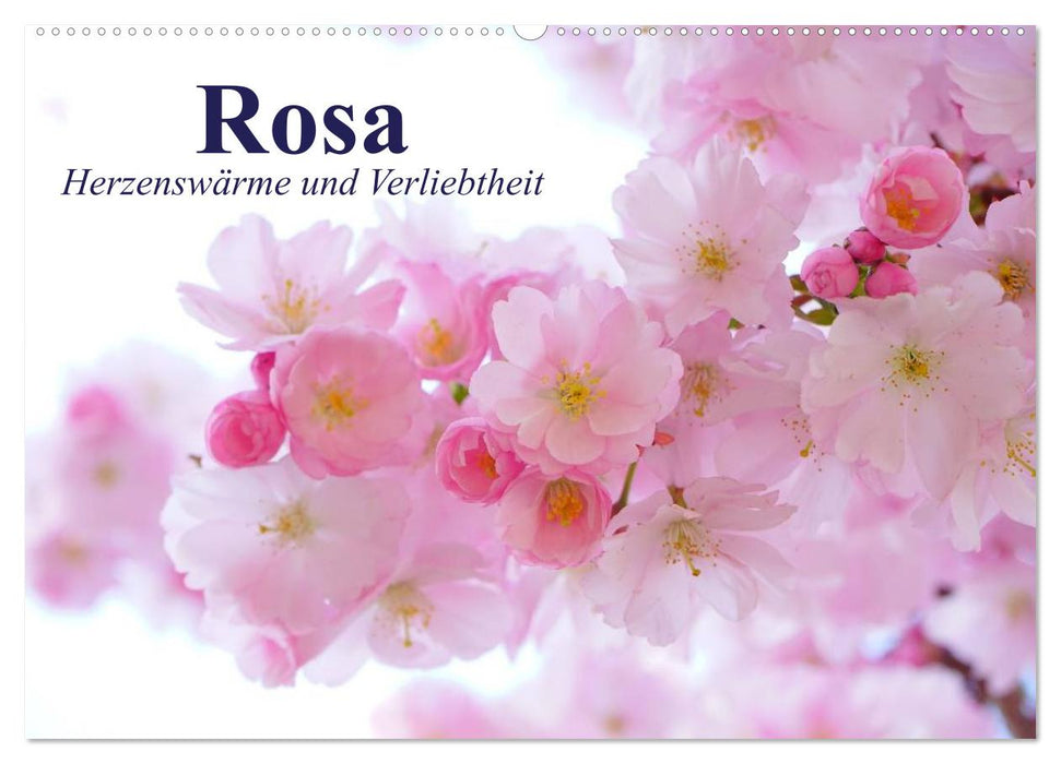 Rosa. Herzenswärme und Verliebtheit (CALVENDO Wandkalender 2025)
