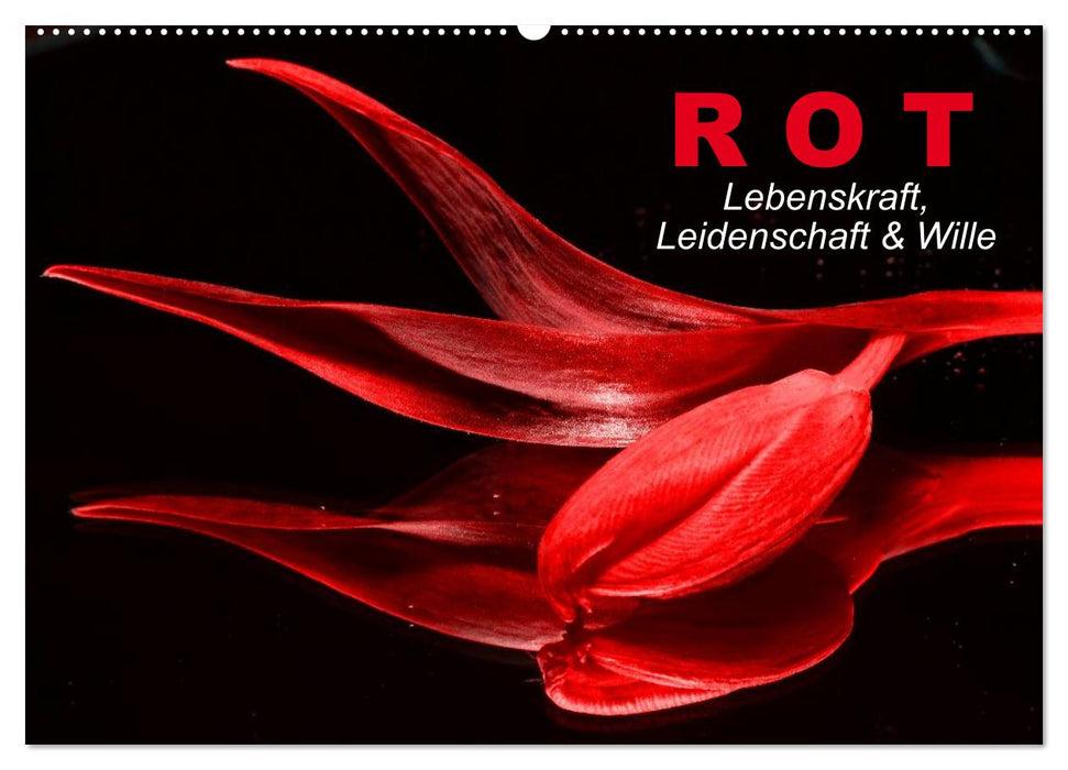 Rot • Lebenskraft, Leidenschaft & Wille (CALVENDO Wandkalender 2025)