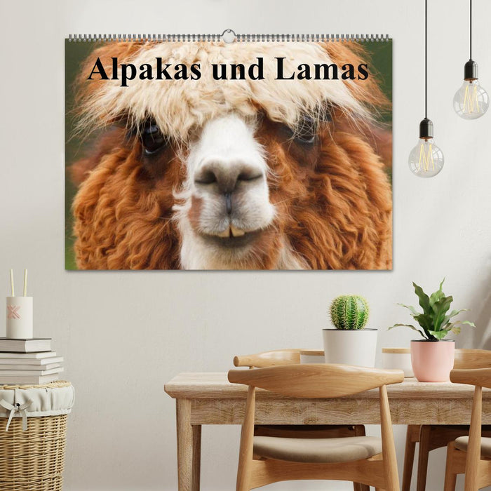 Alpakas und Lamas (CALVENDO Wandkalender 2025)