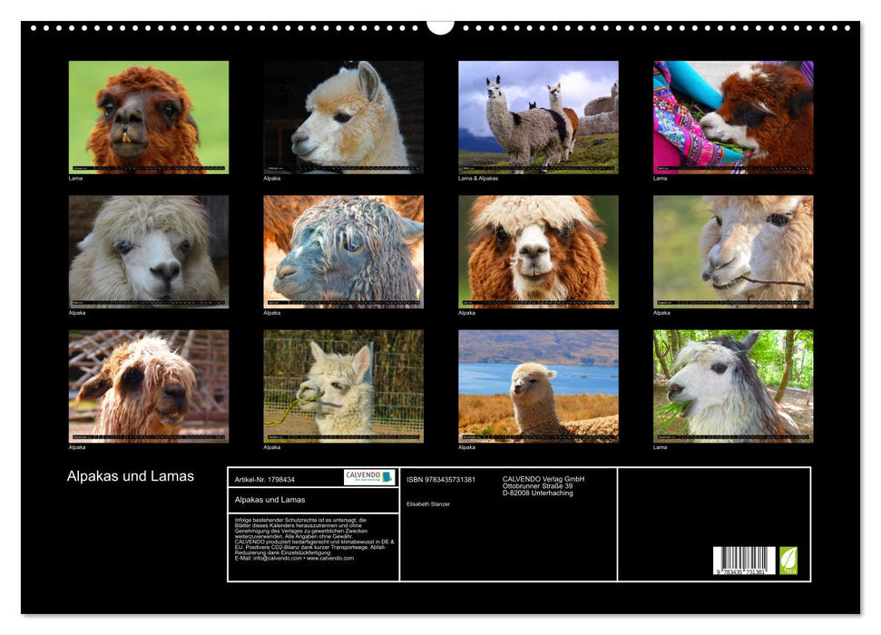 Alpakas und Lamas (CALVENDO Wandkalender 2025)