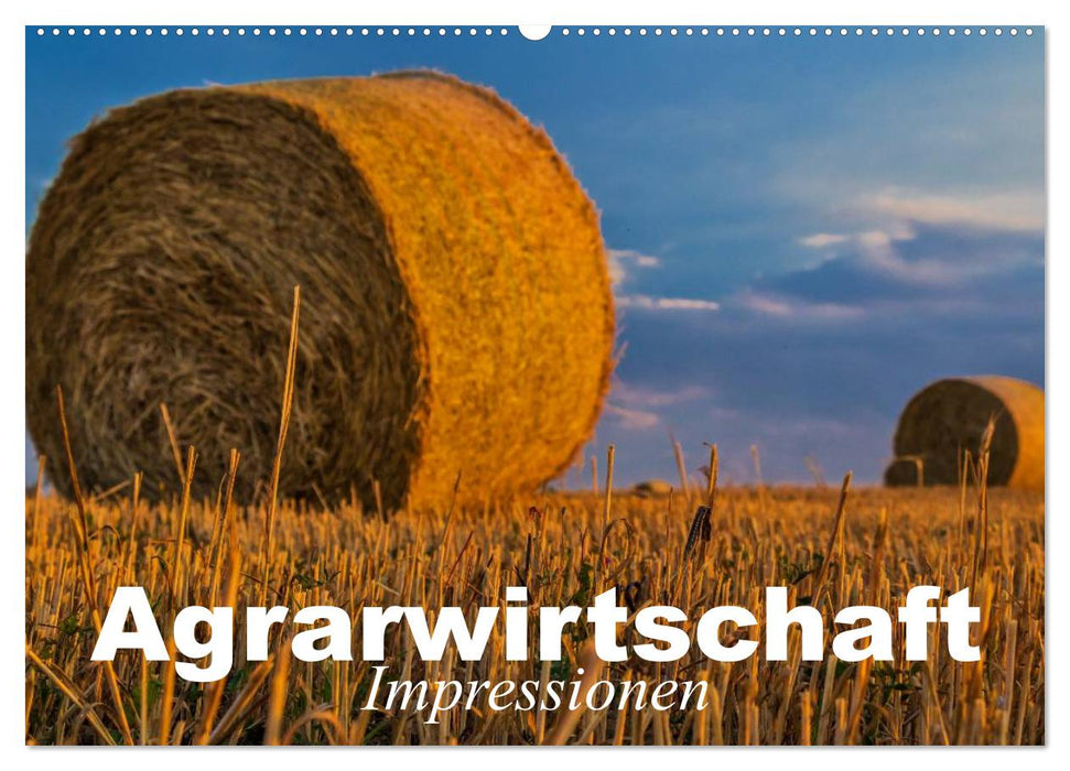 Agrarwirtschaft - Impressionen (CALVENDO Wandkalender 2025)