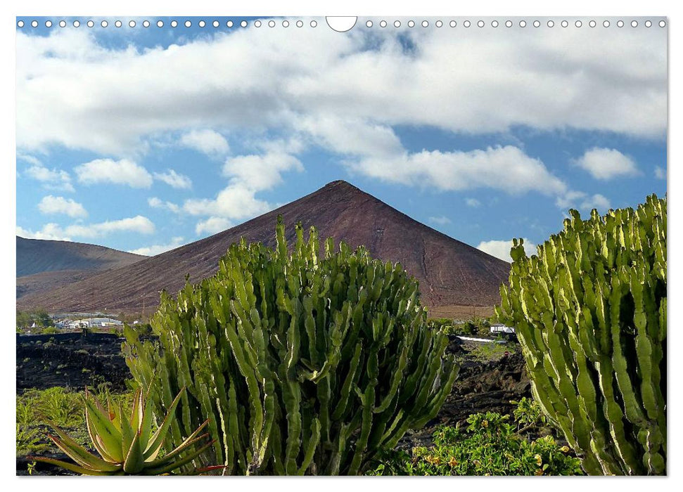 Vulkaninsel Lanzarote (CALVENDO Wandkalender 2025)