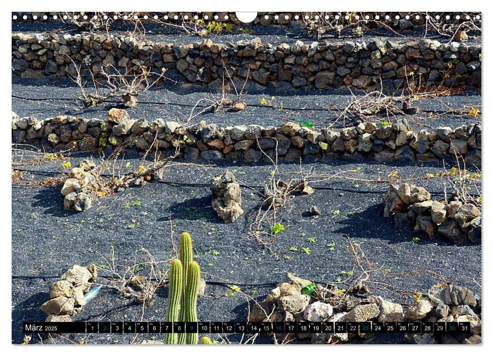 Vulkaninsel Lanzarote (CALVENDO Wandkalender 2025)