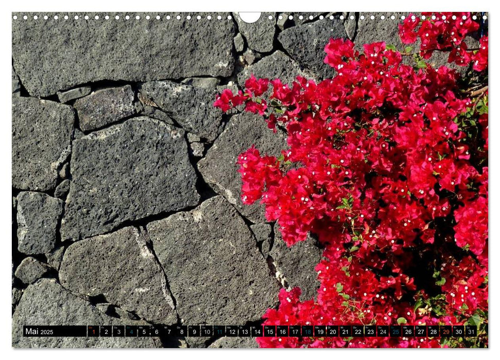 Vulkaninsel Lanzarote (CALVENDO Wandkalender 2025)